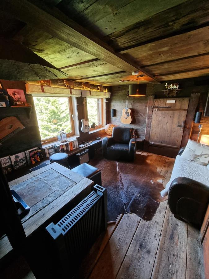 Ferienhaus Gipfelglueck Hygna エクステリア 写真
